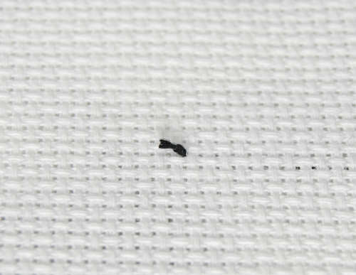 A small knot at the end of your thread gently pulled close to your fabric on the backside.