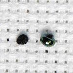 Stitched example of a French Knot next to a stitched bead.