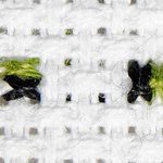 Stitched example of a squat stitch