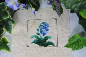 Zelda Blue Nightshade